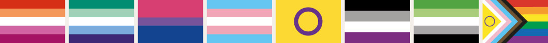 Die Flaggen in der Reihenfolge: lesbisch, schwul, bi, Trans, inter, asexuell, aromantisch und die Progress Pride flagge